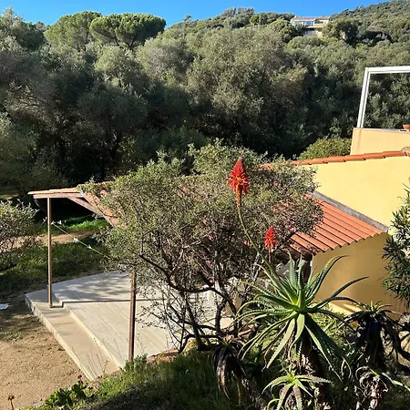 Capizzolu Apartment