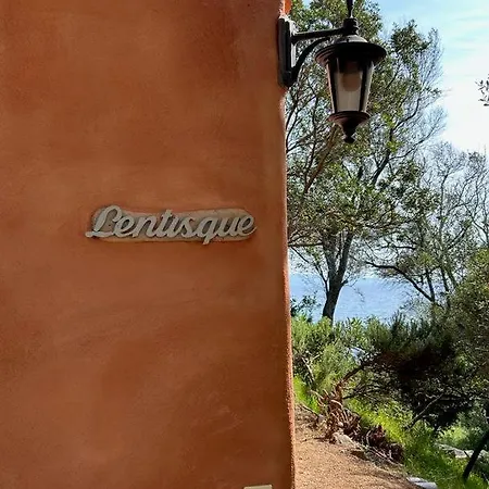 Résidence Capizzolu Appartement *