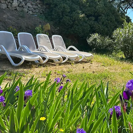 Capizzolu Apartment