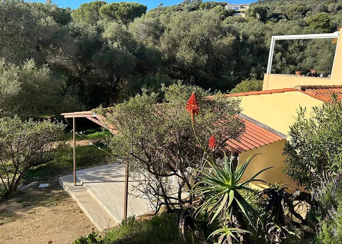 Résidence Capizzolu Appartamento