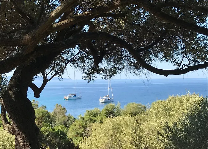 Résidence Capizzolu Appartamento